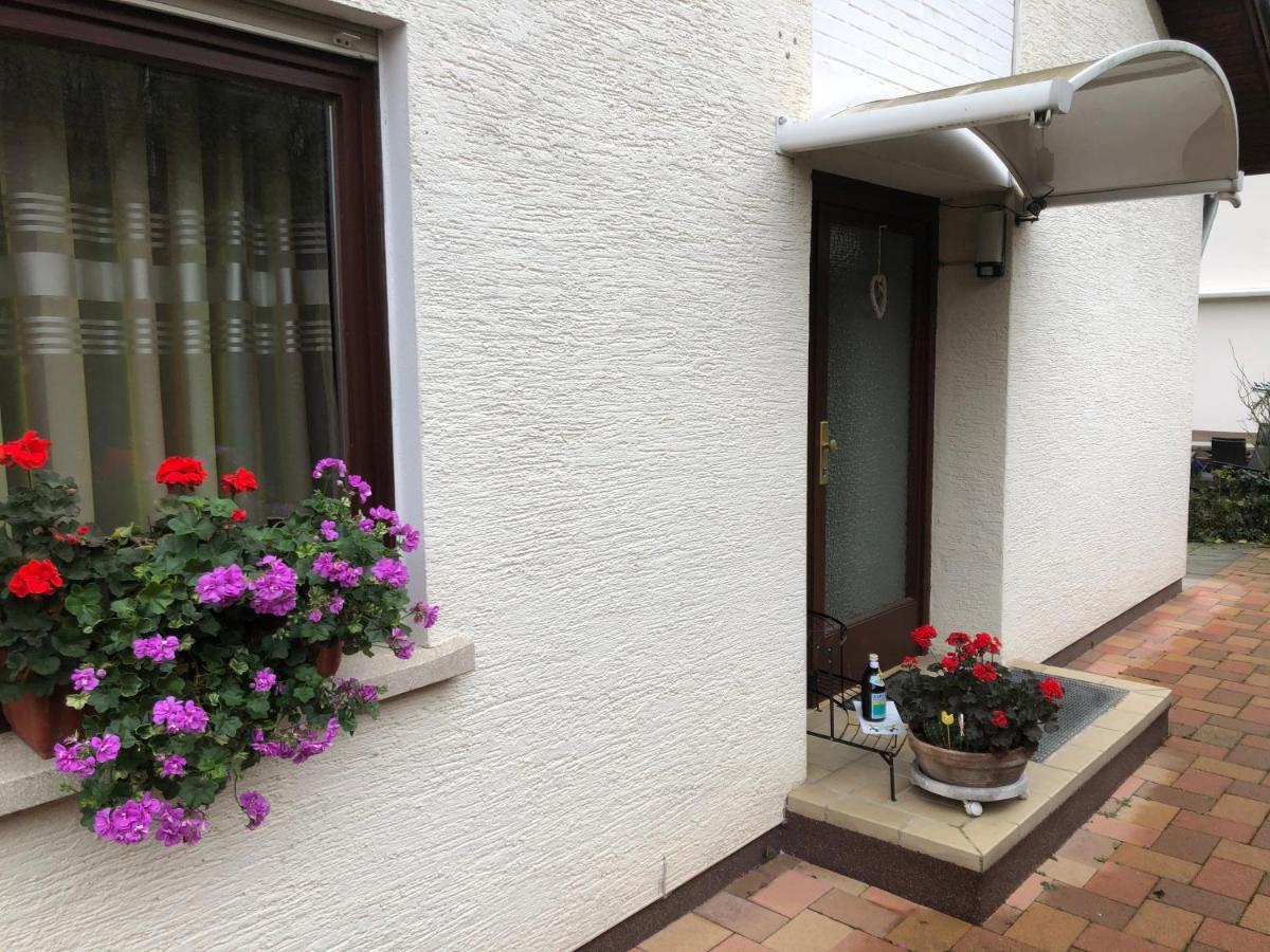 Ferienwohnung Heidelberg Ze-2020-7-Wz Buitenkant foto